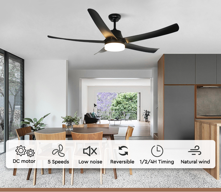 ceiling fan