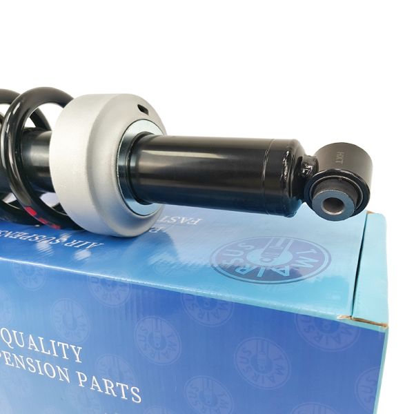 420412019AG 420412020AG Front Air Suspension Shock Strut With ADS For Audi R8