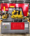 250 Ton Ironworker Hydraulic Press Hydraulic Punch And Shear Machine Q35Y-50