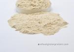 High Purity Vital Wheat Gluten 75.00% Protein No Smell Easy To Storage