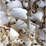 High Quality Konjac Glucomannan Powder with After Services & Dry Place Storage,