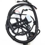 Electric Parts QSC8.3 6D114 Diesel Engine Wiring Harness 4943176 4945300 for