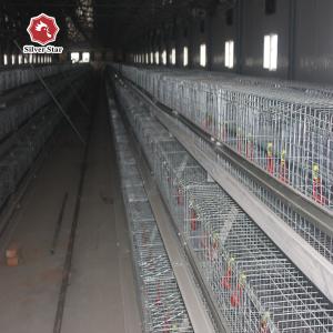 China Hot Galvanized Full Automatic Baby Chick Cage factory