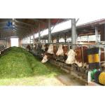 Q235/Q355B Grade Steel Structure Cow Shed For Livestock Management