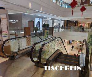 China 800mm Step Commercial Escalator Two Direction Moving Option With Illumination factory