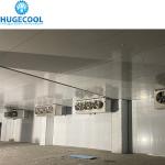 Cold Room Chiller Freezer Room Air Cooler Condensing Unit with Cooling Capacity