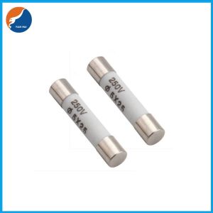 China RO55 R055 Cylinder Cap Tube Ceramic Fuse 5x25MM 1A 2A 4A 6A 10A 16A 20A 250V on sale