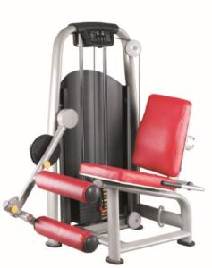China Seated Leg Curl factory