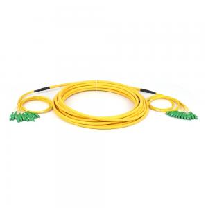China SC/APC - SC/APC Breakout Fiber Cable Singlemode SM 12 Cores Fiber Optic Patchcord on sale