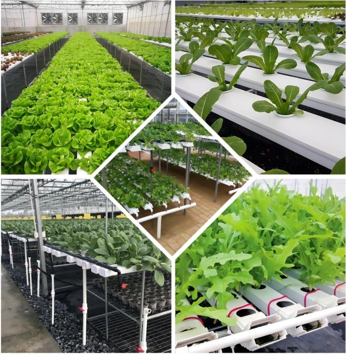 Vertical Nft Hydroponic Growing Channel Grow System For Lettuce Salad Vegetables
