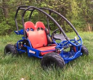 China Off Road 182lbs Kids Big Horn 70cc PDI Go Kart Buggy factory