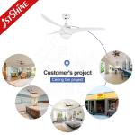 ROHS Smart 3 Speed Color Changing Ceiling Fan For Home Decorative