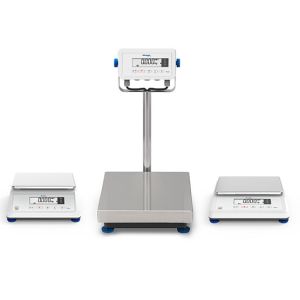 China High Precision Bench Weighing Scale For Industry Multi Functional Weighing Solution on sale