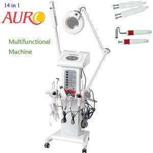 China Ultrasonic Galvanic 14 In 1 Multifunction Facial Machine Vacuum Wrinkle Remover factory