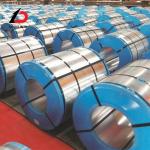 Hot Rolled 0.5*1250mm 3019 Ral 5030 Ral 9002 Ral 3020 PPGI Dx51d 20/5um 0.47mm