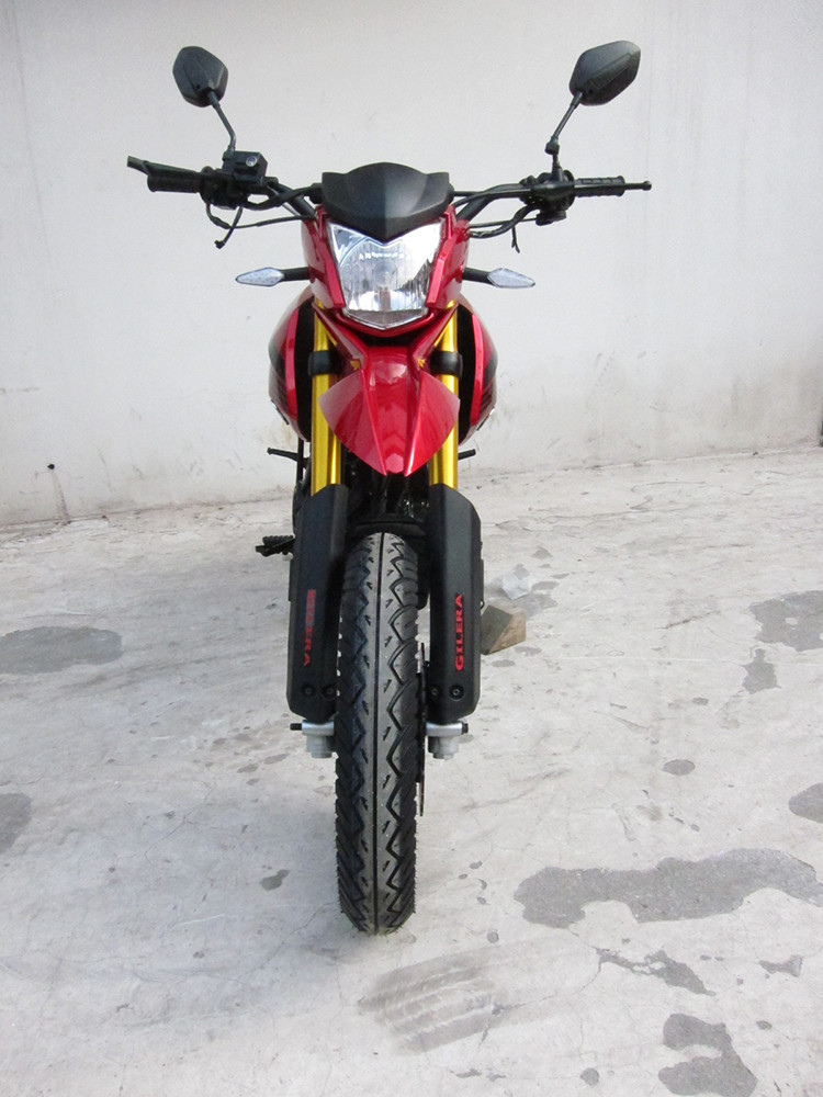 Custom Adventure Enduro Off Road Motorcycles Leisure With 2 Spoke Wheels