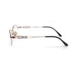 TD011 Premium Titanium Frame