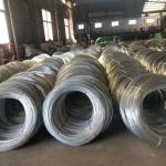 Compact Galvanized Steel Wire Rod 16mm AISI ASTM BS Standard