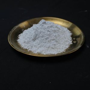 China White TCP Powder 310.18 G/Mol For Exceptional Efficiency Calcium Phosphate Powder factory