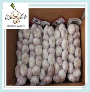 China Chinese 5p Pure White Garlic 5.0cm Small Packing 500g/Bag In 10kg/Carton factory