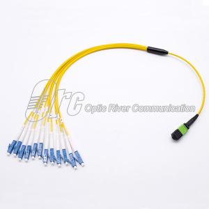 China MPO To LC Male LSZH G657A Fiber Optic Patch Cord 12 Cores factory