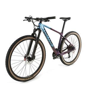 China 29er PREDATORpro RETROSPEC 13 Speed Carbon Mountain Bike Quick Release Hydraulic Brake Bicycle factory