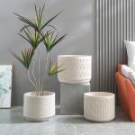 Stunning Plant Display With Fiber Clay Planters Durable And Stylish