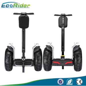 China 21'' Segway 2 wheel electric scooter for teenagers / adult , Self Balance System factory