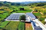 Livestock Shelter Dairy Farm Barn Custom Steel Structure Cow Shed For Live