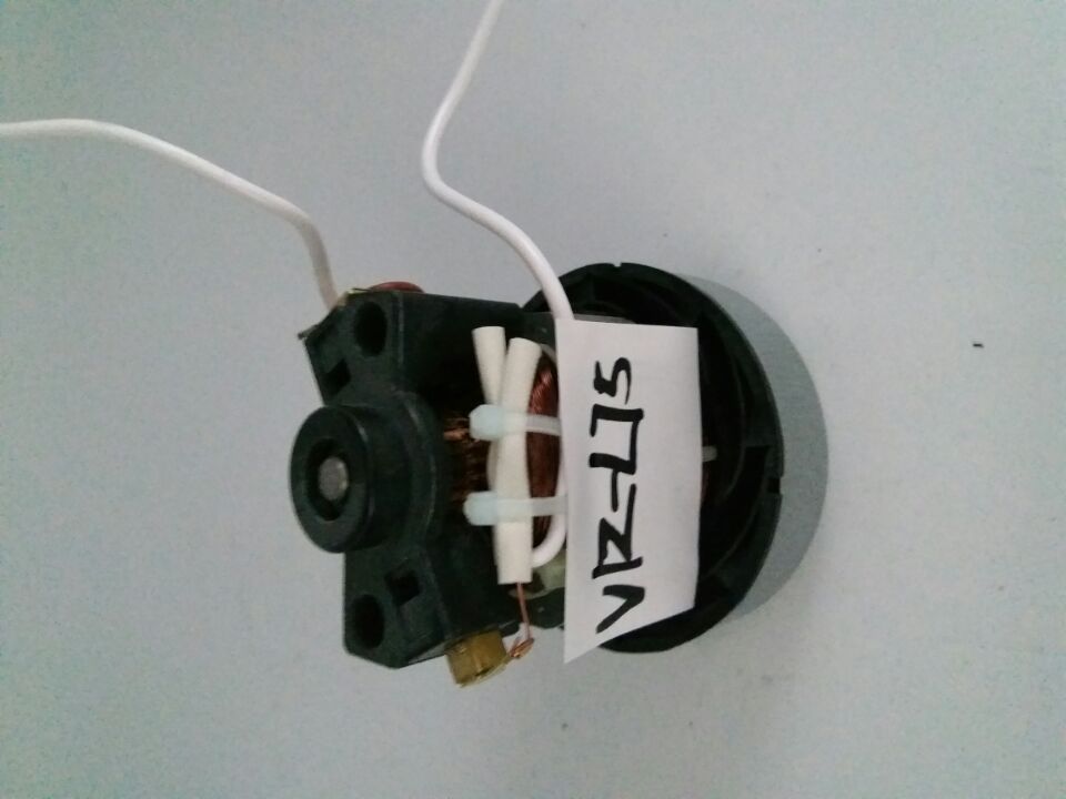Outdoor Low Noise 98dB 110V 120V 1200 Watt Vacuum Motor