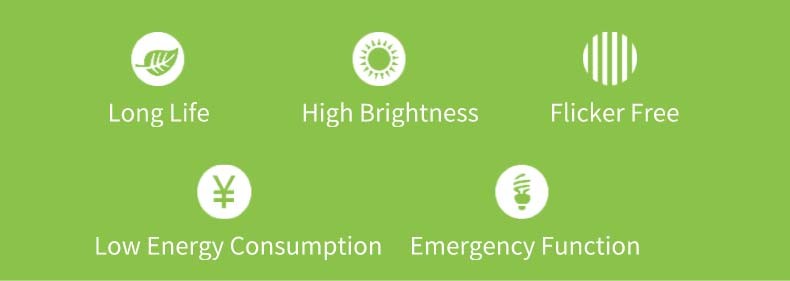 Waterproof LED IP65 Ceiling Mounted Emergency Lights