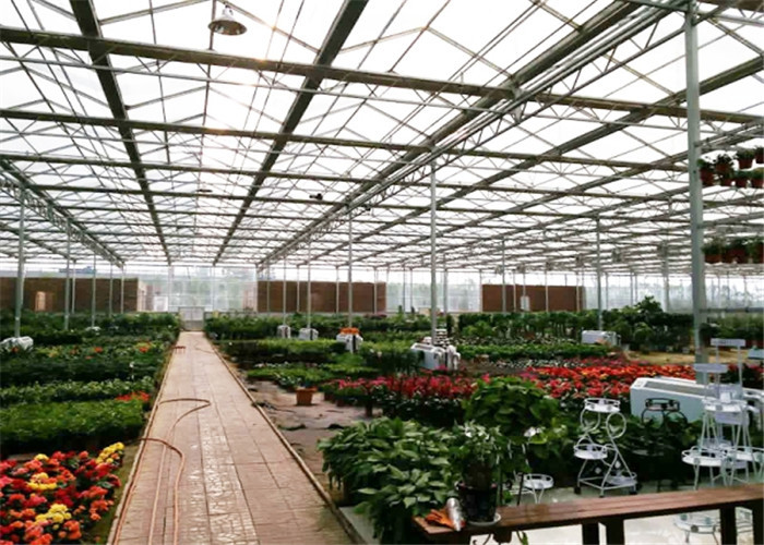 8m*4m Dimenison Garden Glass Greenhouse Easily Assembled Highly Durable