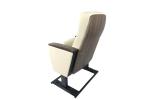 Theater Seats Auditorium Theater Seating Foldable Movie Theater Chairs