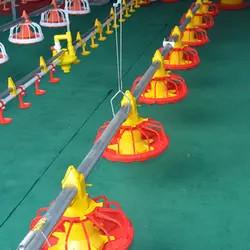 China Customized Poultry Chick Line Feeder Broiler House Flooring Tube Chain Conveyor factory