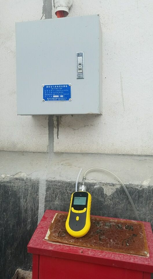 Portable Pumping Type O2 Gas Detector with Light, Sound , Vibration Alram