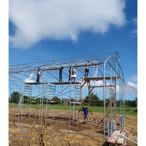 Grow Vegetables Single Span Greenhouse Flowers Tropical Climate Greenhouse