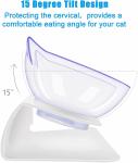 Elevated 15 Degree Tilted Raised Cat Bowls ABS Material