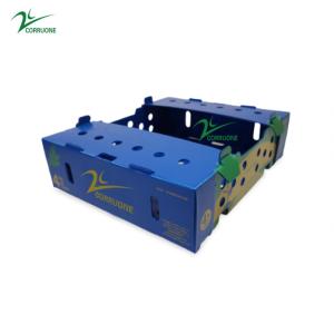 China Danpla Corriboard Corrugated Plastic Moving Boxes For Feed Seafood factory