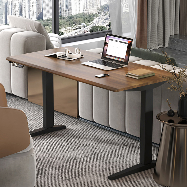 Double Motor Electric Up Lift Desk Customized Leisure Sit and Stand Up Office Table with Colored Frame