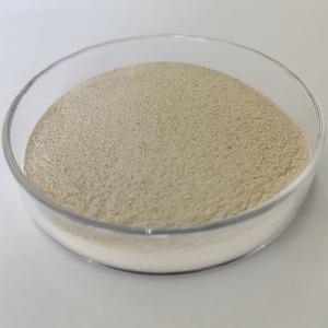 China Non-hazardous Protease Industrial Grade for Maximum Benefits factory