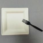 Elegant Sugarcane Square Plate-6 inch/8inch/10 inch,100% natural plant fiber