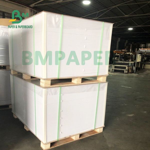 China 200g + 20g PE Cup Base Paper Folding Resistance Water Resistance factory