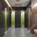 Easy Installation Toilet Partition Wall