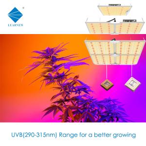 China 3W 1W 3535 UVB LED Chips 315nm 306nm 340nm For Medical Treatment factory