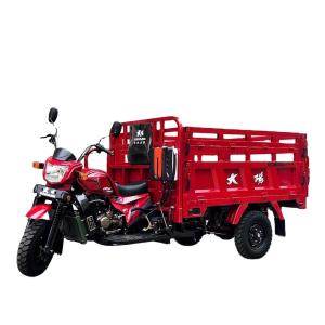 China Manufacturers 250cc 3 Wheel Gasoline Trimotos for Heavy Duty Load Carrying in Abidjan factory