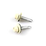Seat Fix Fastening Bi-Metal Screw Self Drilling Screw St5.5x25 for Roof Steel
