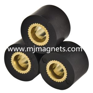 plastic Injection bonded permanent magnet for automotive