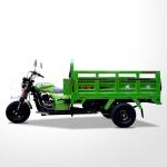 250W Three Wheel Cargo Motorcycle for Cargo 150CC Air Cooling Cargo Tricycle