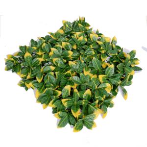 China 25mm Hedge Fake Plant Wall Panels For Company Or Shopping Mall Decoration factory