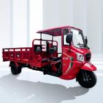300cc Semi Cabin Cargo Tricycle with Closed Body Type and Hydraulic Lifting